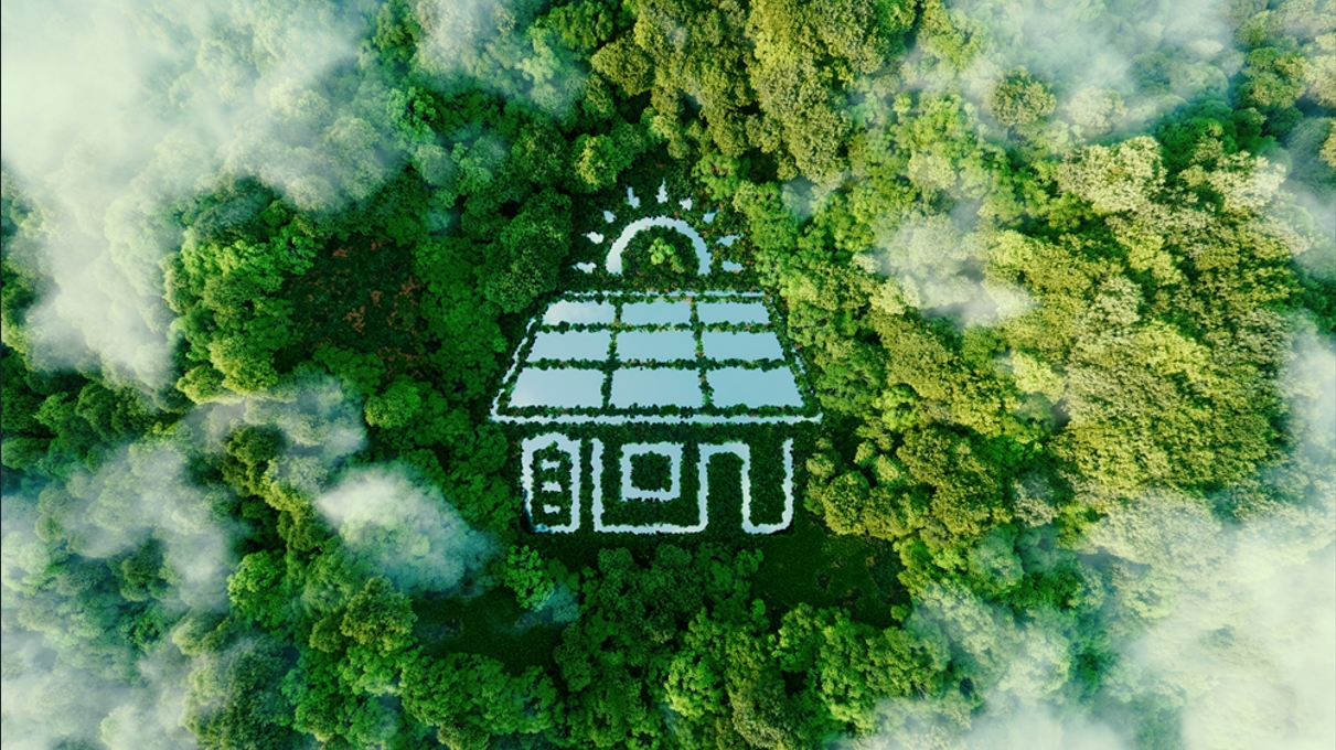 NOVOSENSE2023ESGǤBγ־Aܤ_kĿˤؤΥߥåȥȤ϶